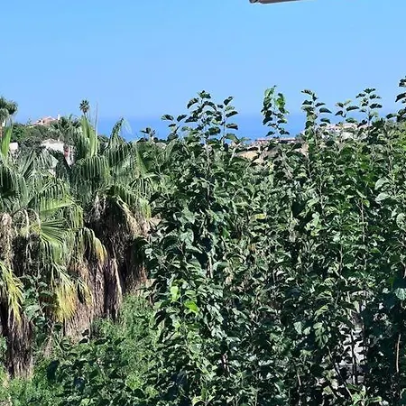 B View Of Swimming Pool, Jacuzzi, Possibility Heating In Extra, Sea And Mountain Appartamento Benalmádena